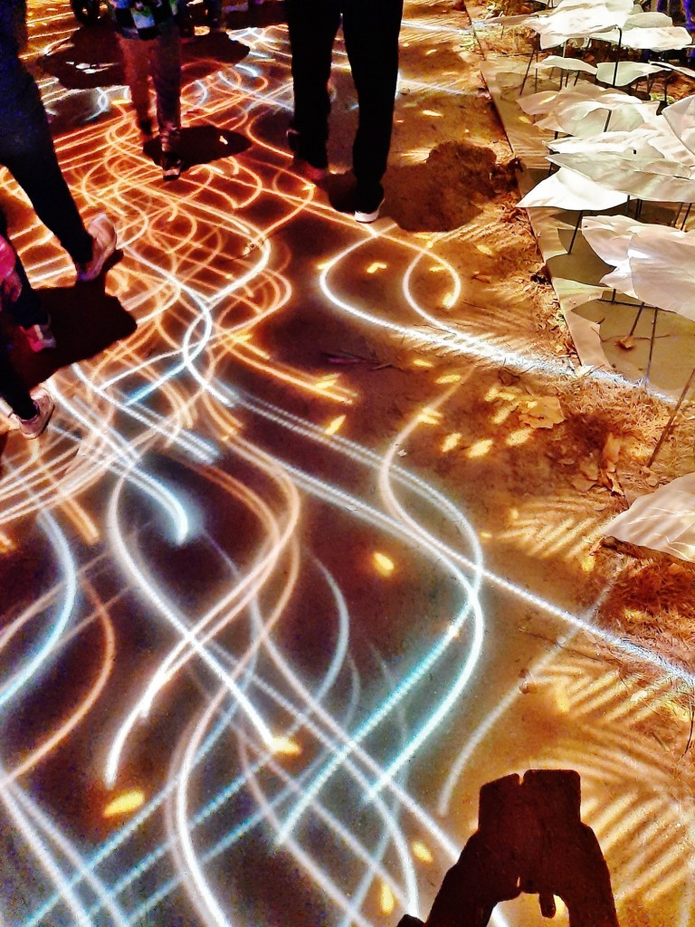 Foto: Espectáculo de luces - Barcelona (Cataluña), España