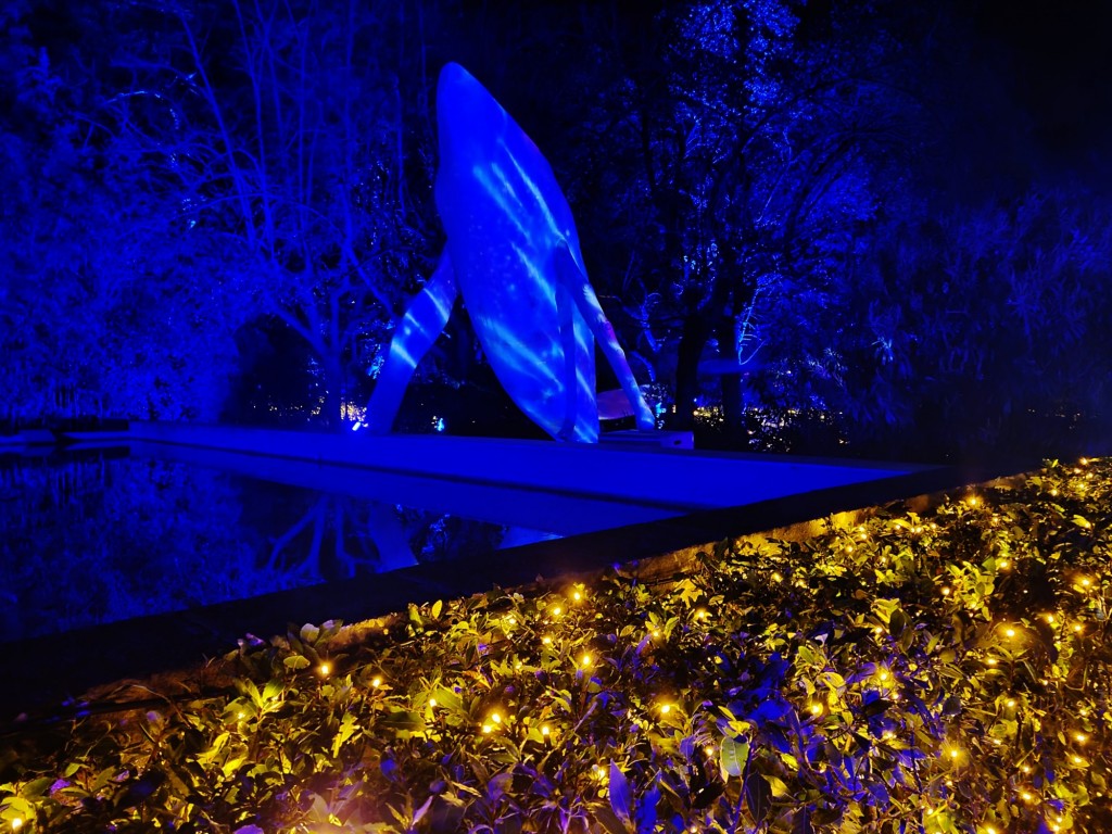 Foto: Espectáculo de luces - Barcelona (Cataluña), España