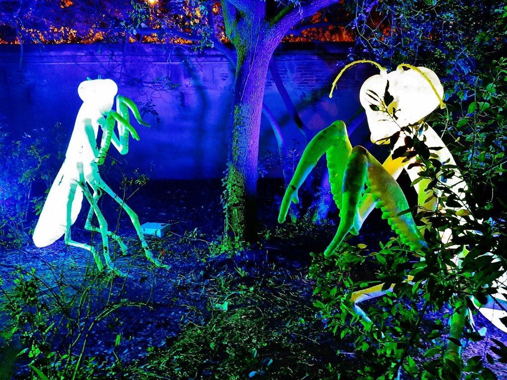 Foto: Espectáculo de luces - Barcelona (Cataluña), España