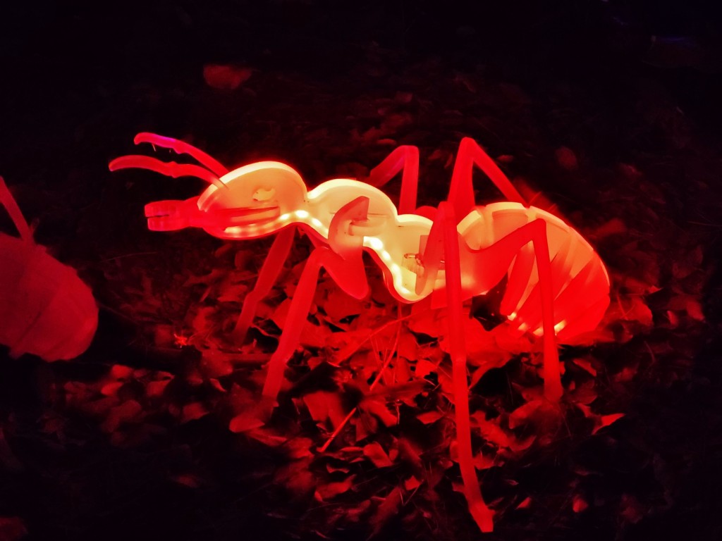 Foto: Espectáculo de luces - Barcelona (Cataluña), España