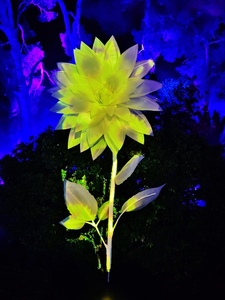 Foto: Espectáculo de luces - Barcelona (Cataluña), España