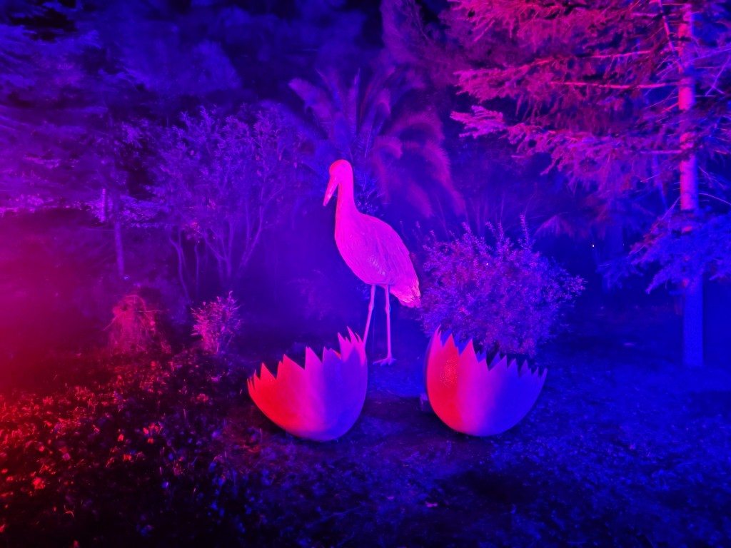 Foto: Espectáculo de luces - Barcelona (Cataluña), España