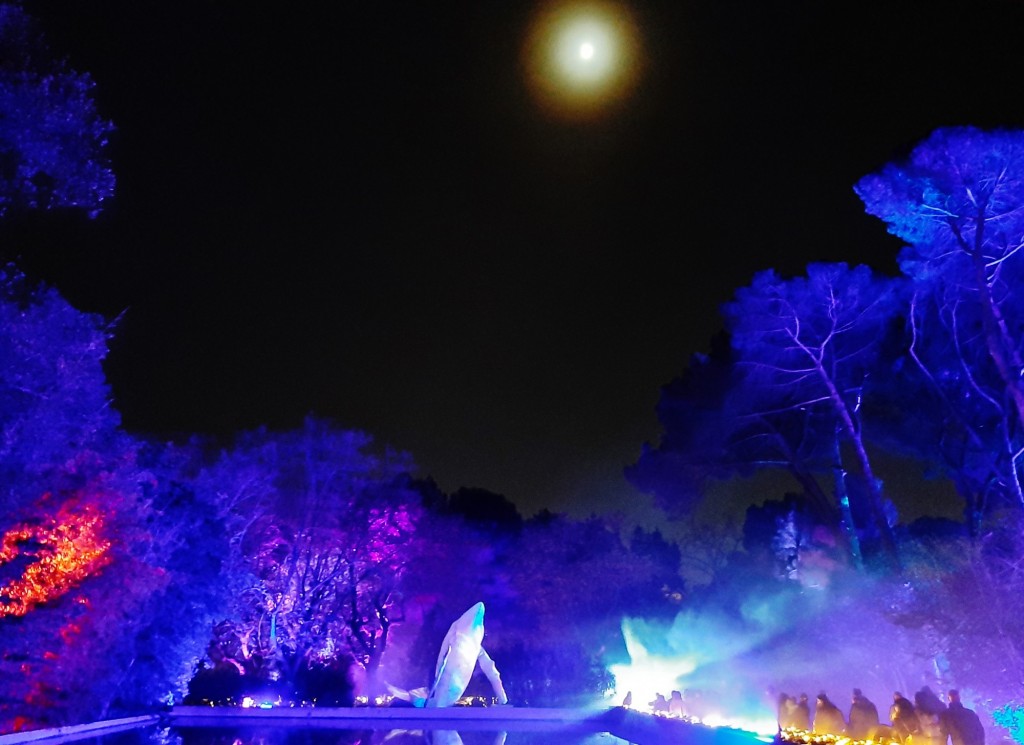 Foto: Espectáculo de luces - Barcelona (Cataluña), España