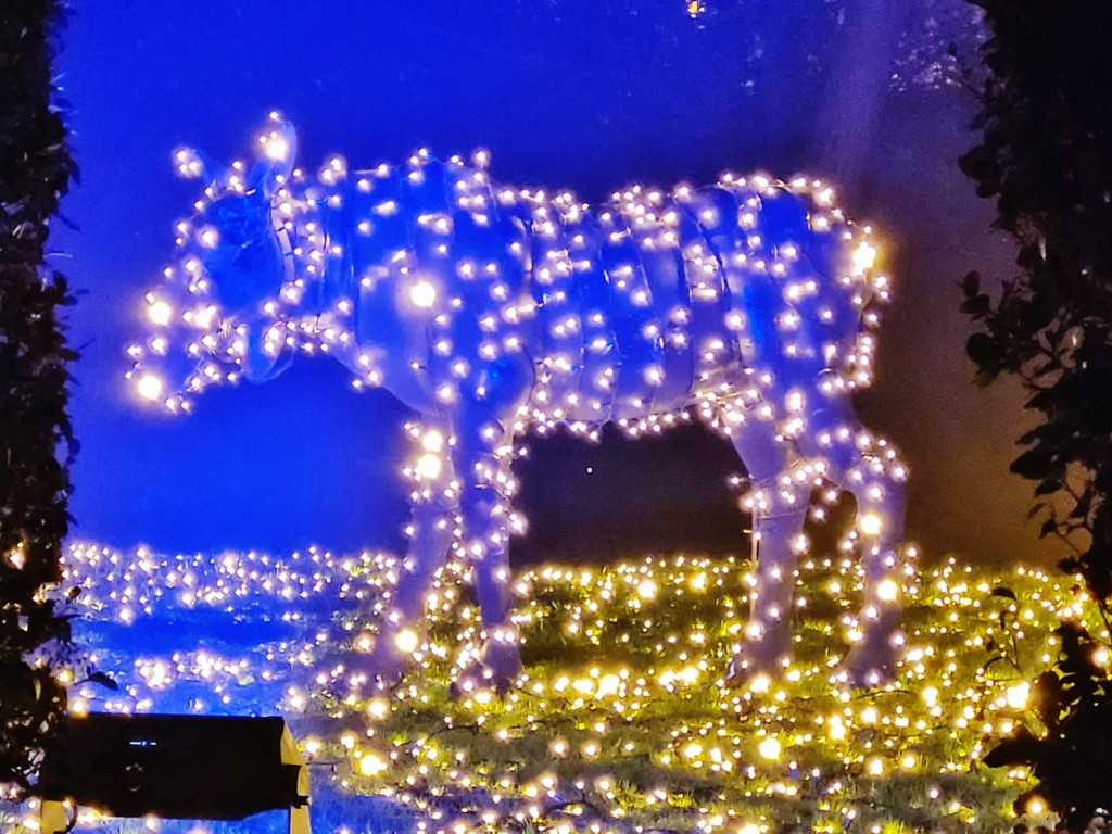 Foto: Espectáculo de luces - Barcelona (Cataluña), España