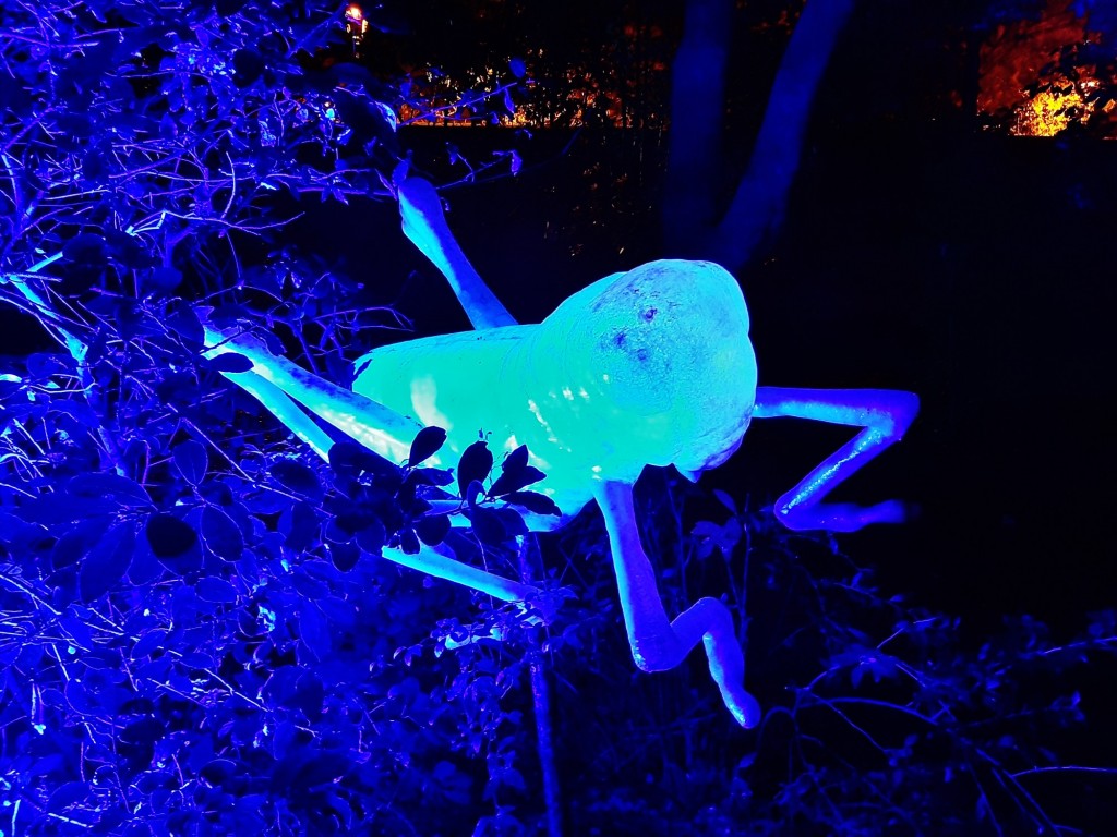 Foto: Espectáculo de luces - Barcelona (Cataluña), España