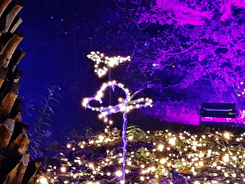 Foto: Espectáculo de luces - Barcelona (Cataluña), España