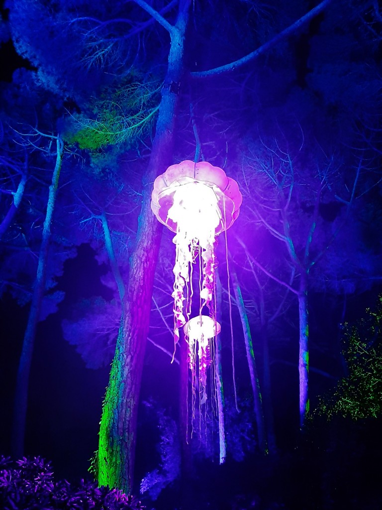 Foto: Espectáculo de luces - Barcelona (Cataluña), España