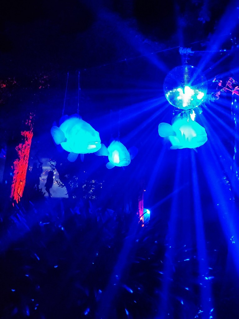 Foto: Espectáculo de luces - Barcelona (Cataluña), España