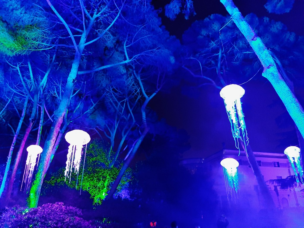 Foto: Espectáculo de luces - Barcelona (Cataluña), España