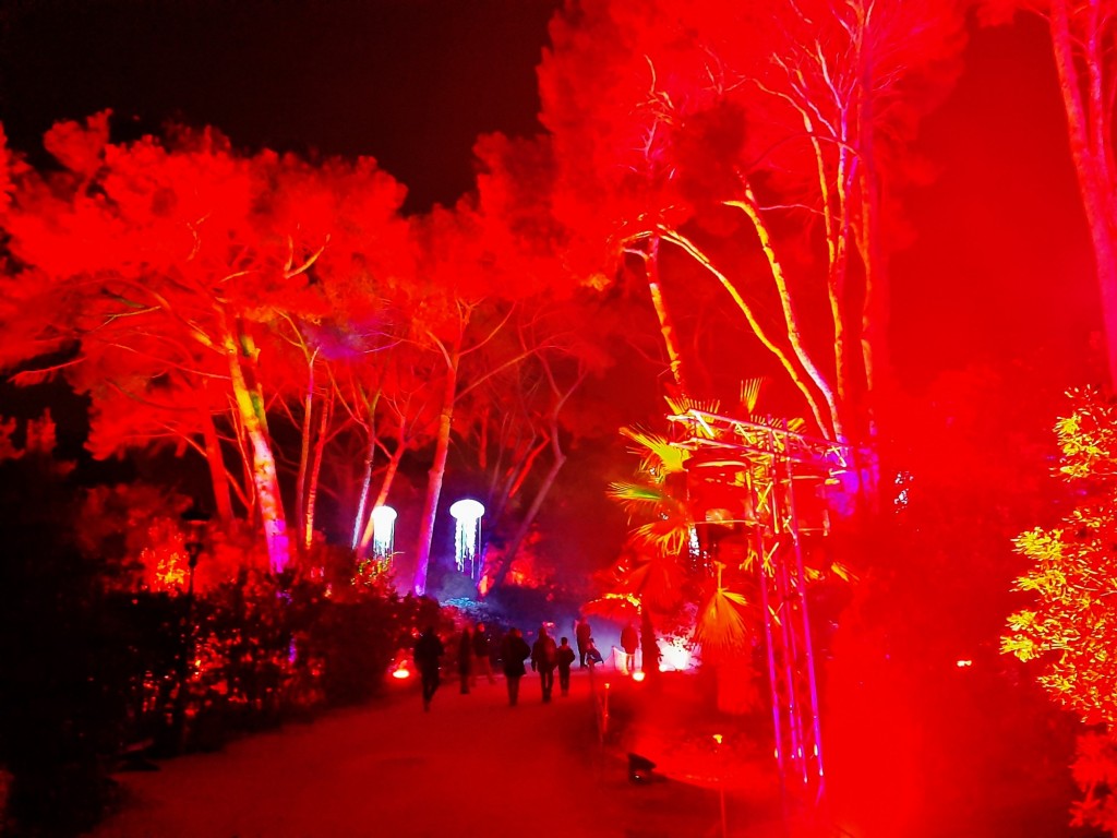 Foto: Espectáculo de luces - Barcelona (Cataluña), España