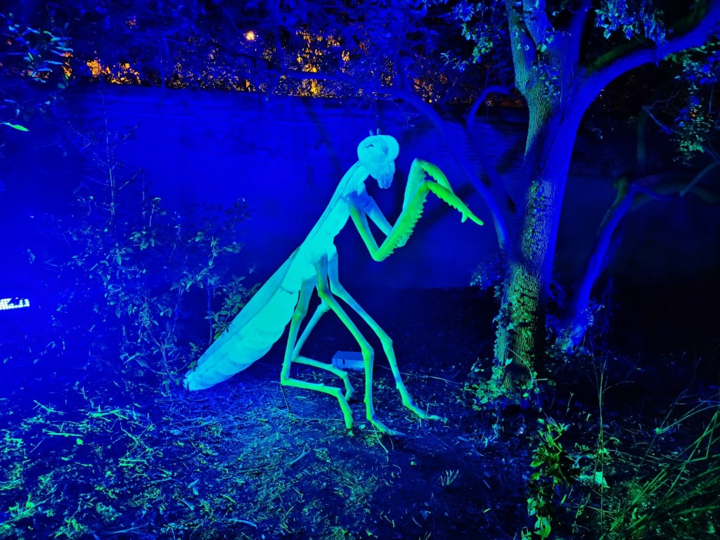 Foto: Espectáculo de luces - Barcelona (Cataluña), España