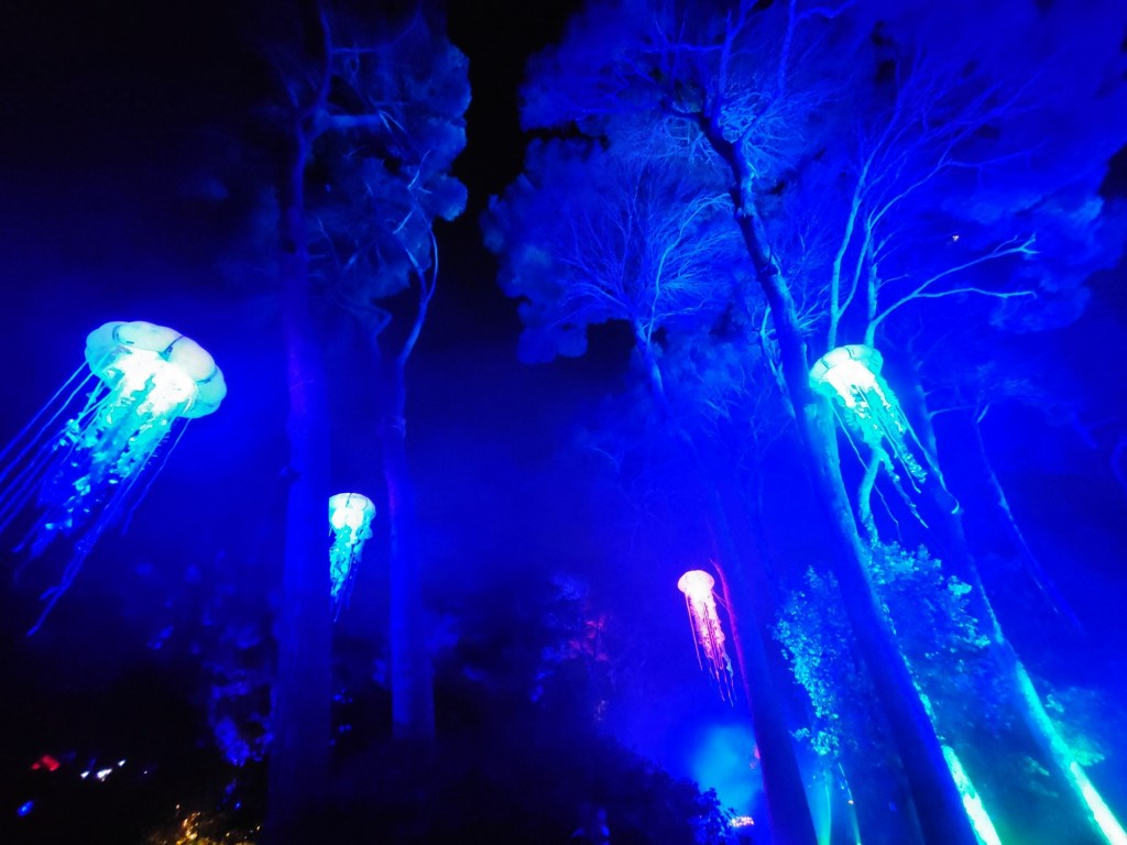 Foto: Espectáculo de luces - Barcelona (Cataluña), España