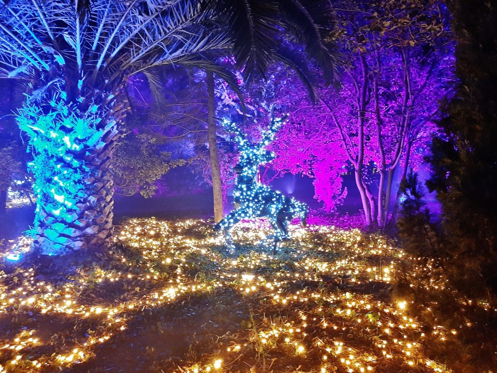 Foto: Espectáculo de luces - Barcelona (Cataluña), España