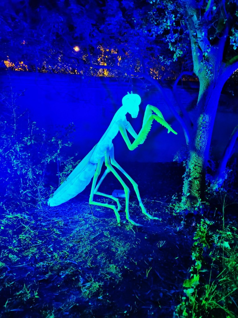 Foto: Espectáculo de luces - Barcelona (Cataluña), España