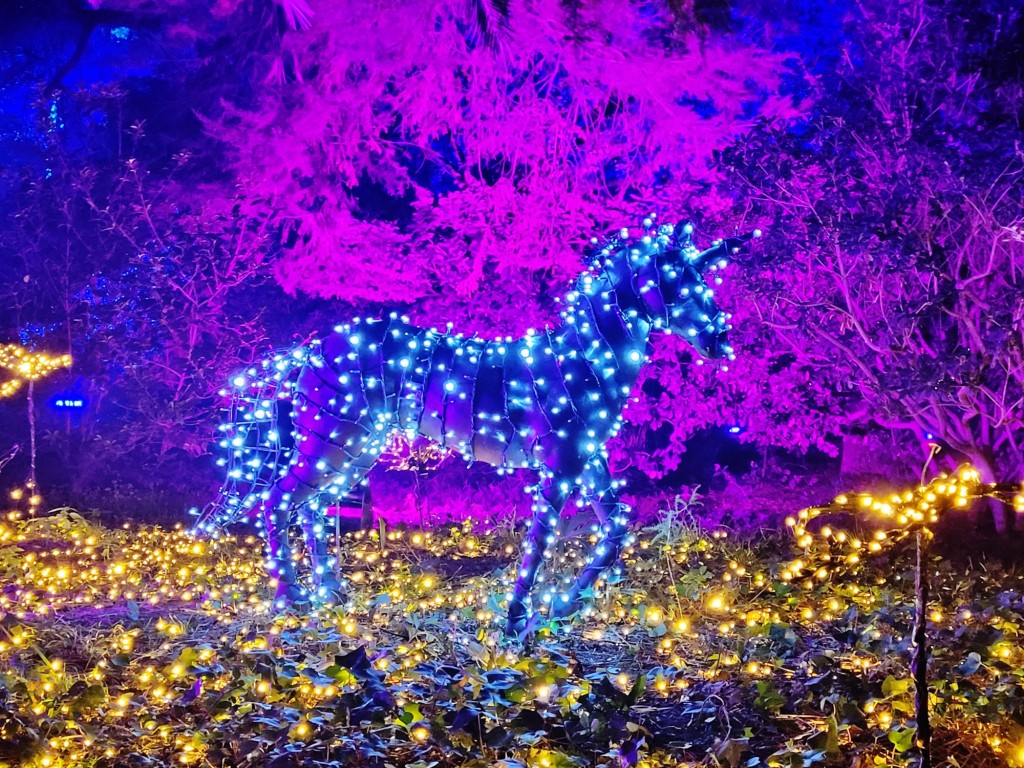 Foto: Espectáculo de luces - Barcelona (Cataluña), España