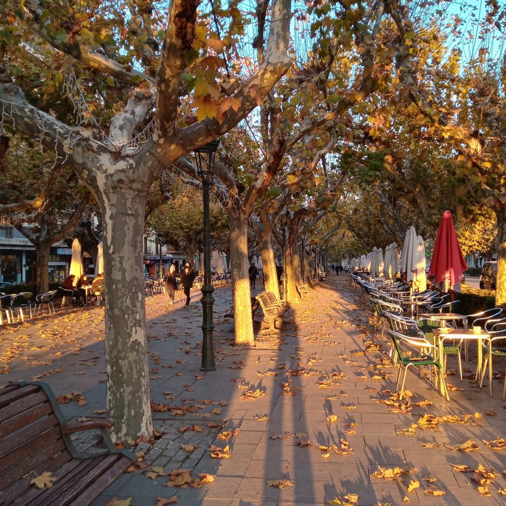 Foto: Paseo Cortes de Aragón - Calatayud (Zaragoza), España