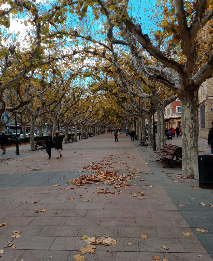 Foto: Paseo Cortes de Aagón - Calatayud (Zaragoza), España