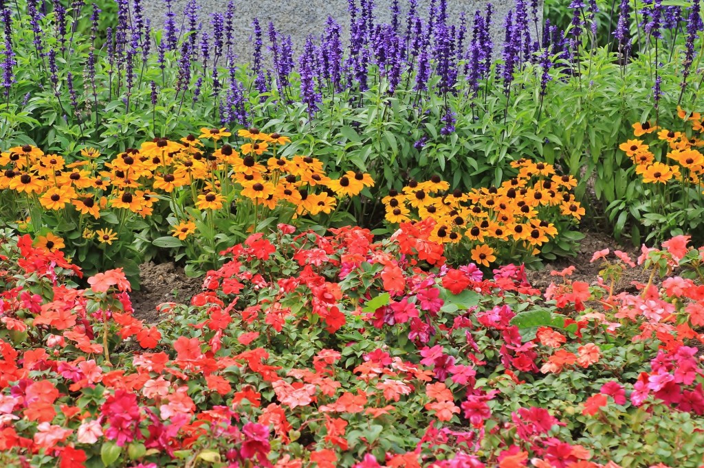 Foto: Parque de Isabel la Católica - Gijón (Asturias), España