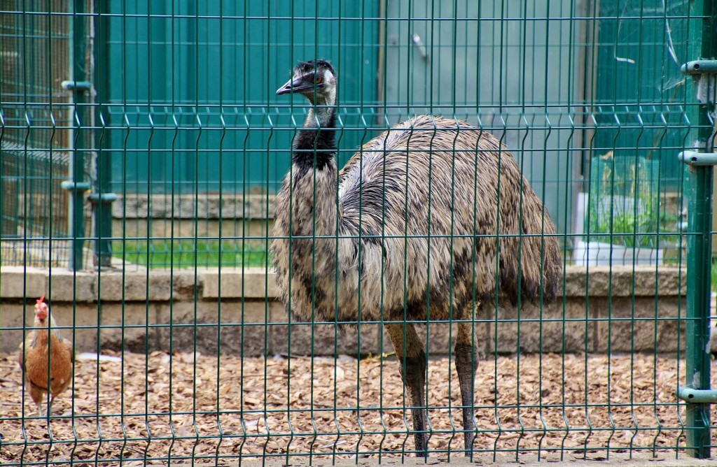 Foto: Parque de Isabel la Católica - Gijón (Asturias), España