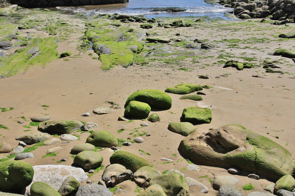 Foto: Playa - Tazones (Asturias), España