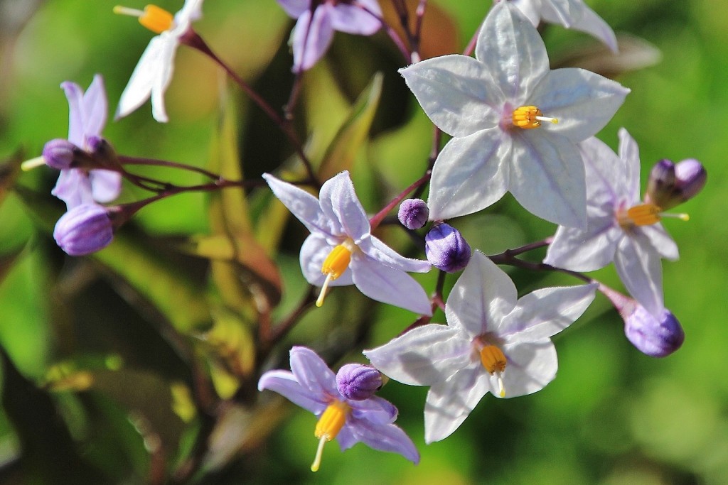 Foto: Museo del Jurásico - Colunga (Asturias), España