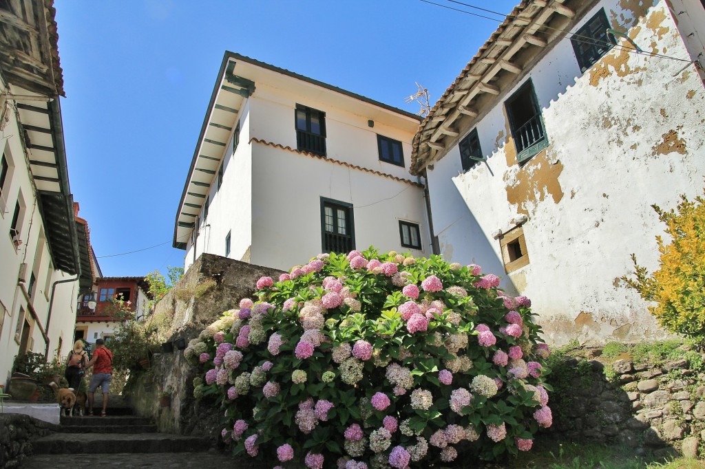 Foto: Centro histórico - Tazones (Asturias), España