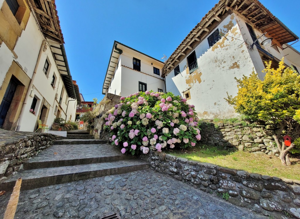 Foto: Centro histórico - Tazones (Asturias), España