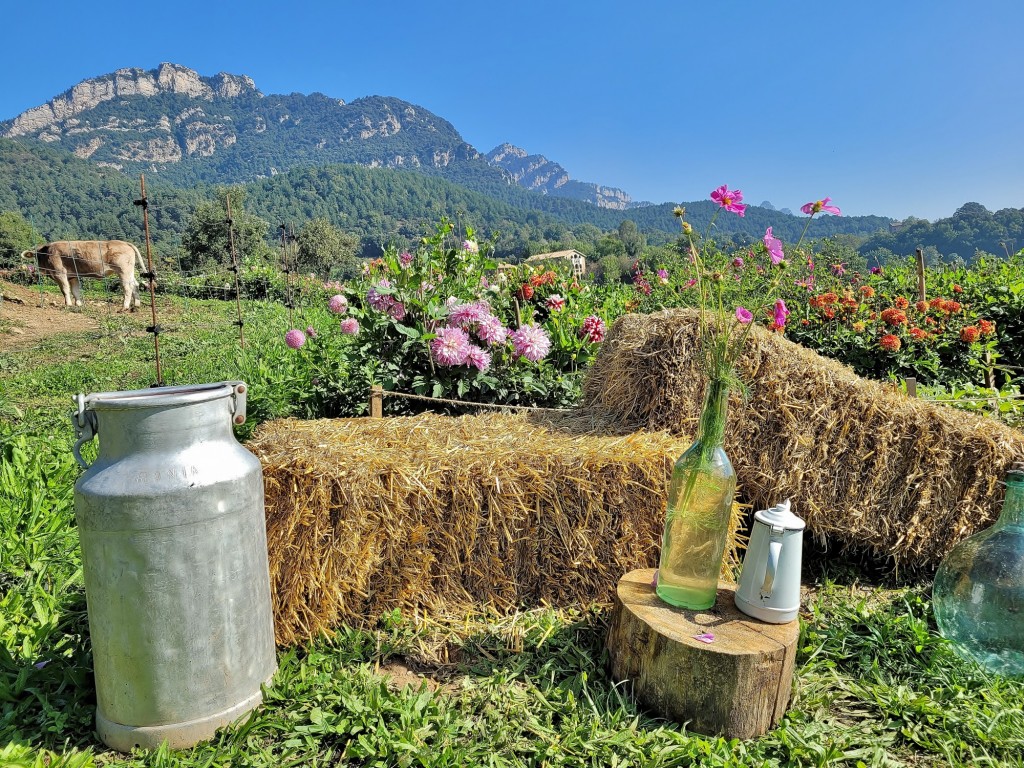 Foto: Paisaje - Capolat (Barcelona), España