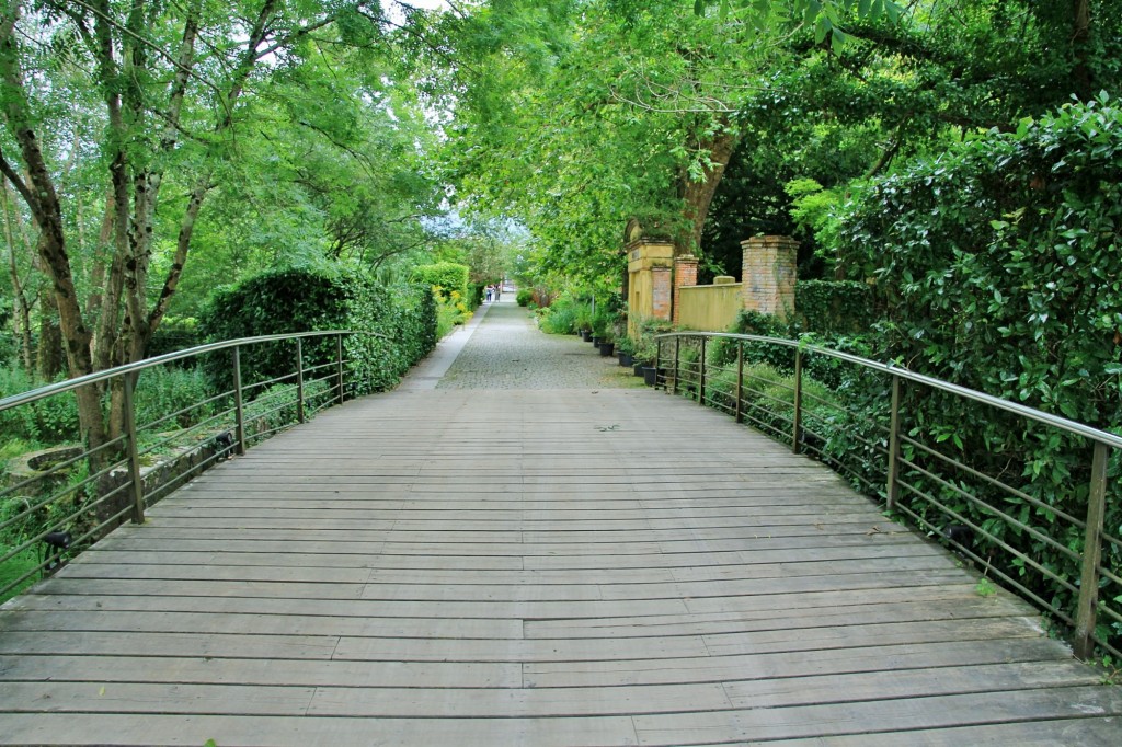 Foto: Jardín botánico Atlántico - Gijón (Asturias), España