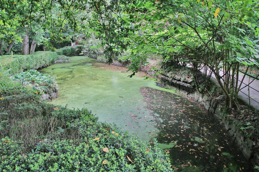 Foto: Jardín botánico Atlántico - Gijón (Asturias), España