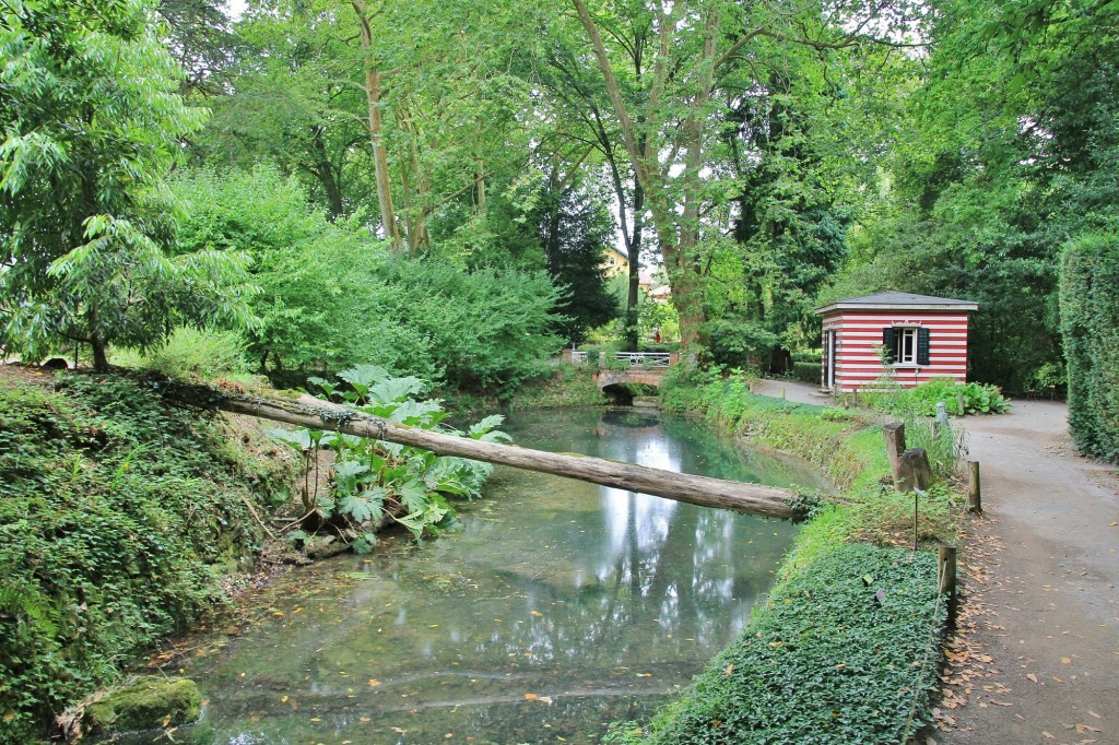 Foto: Jardín botánico Atlántico - Gijón (Asturias), España
