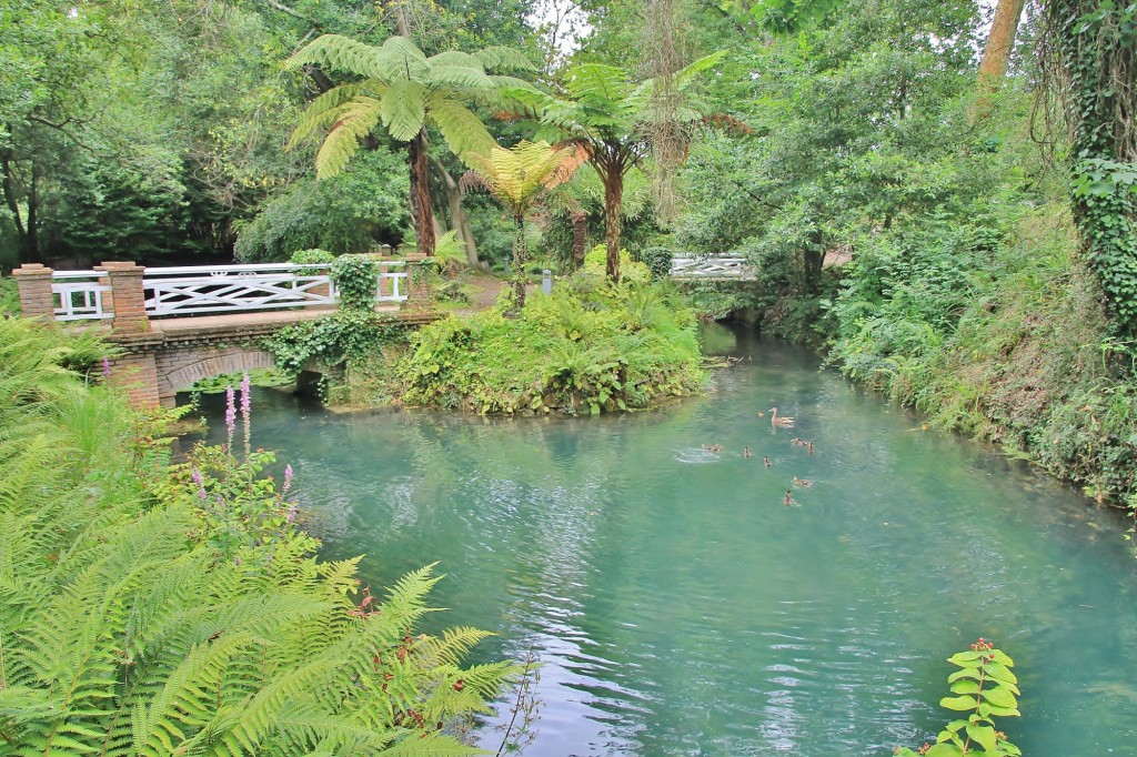 Foto: Jardín botánico Atlántico - Gijón (Asturias), España
