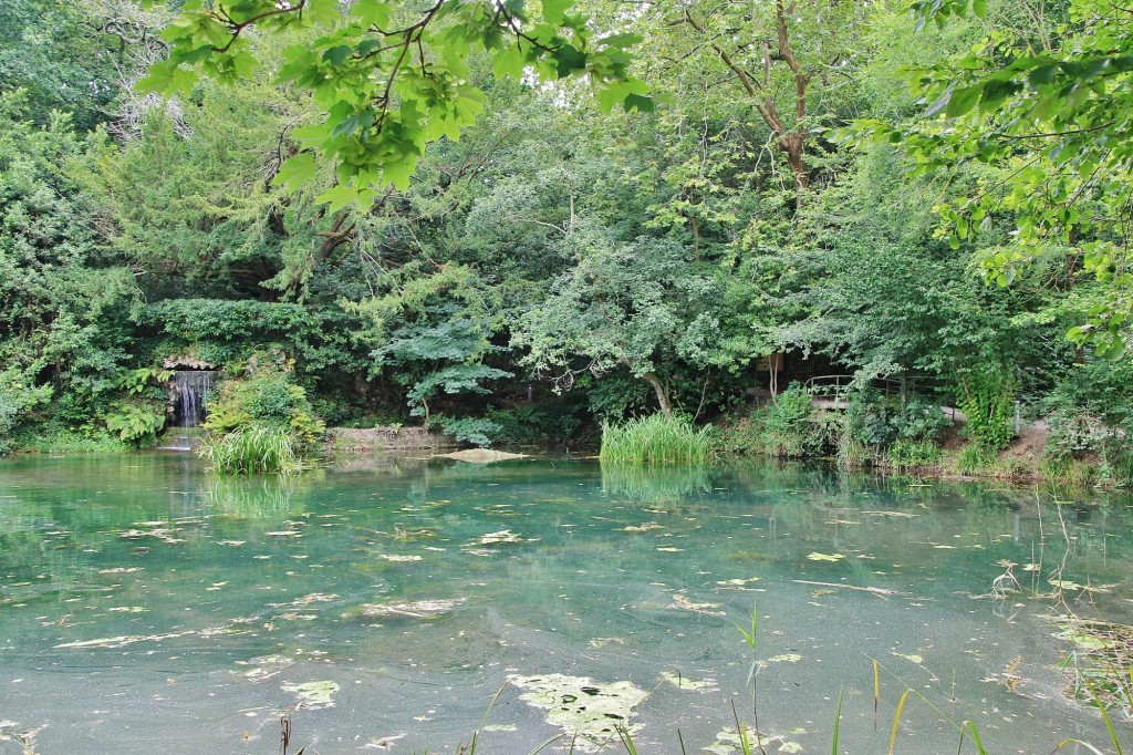Foto: Jardín botánico Atlántico - Gijón (Asturias), España