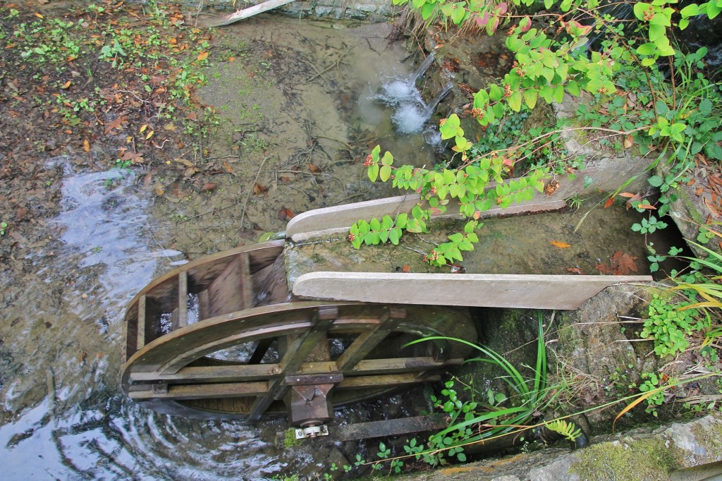 Foto: Jardín botánico Atlántico - Gijón (Asturias), España