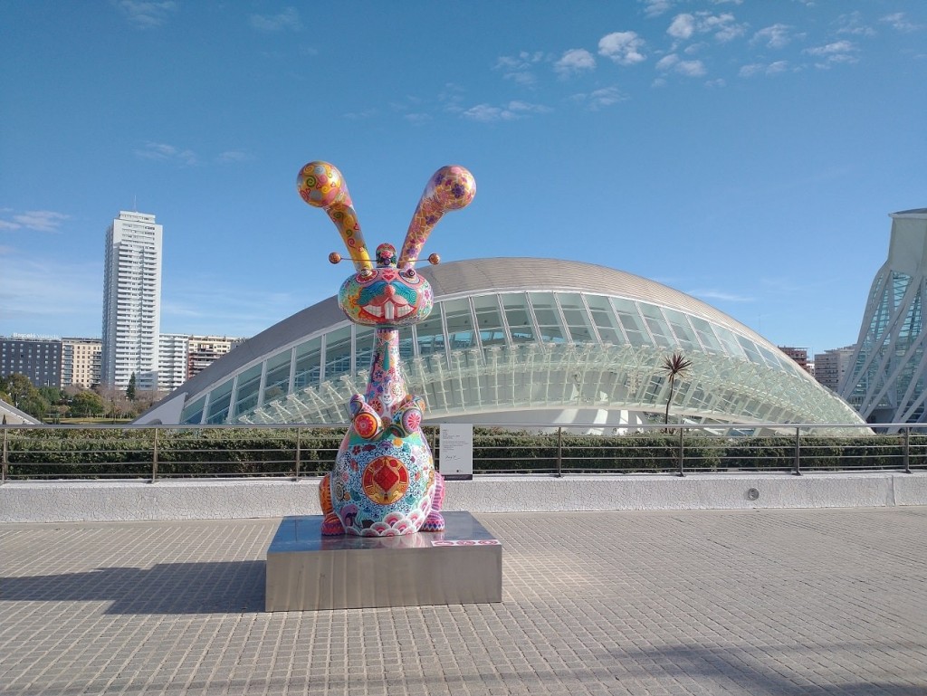 Foto: Conejo, Hung Yi - València (Comunidad Valenciana), España