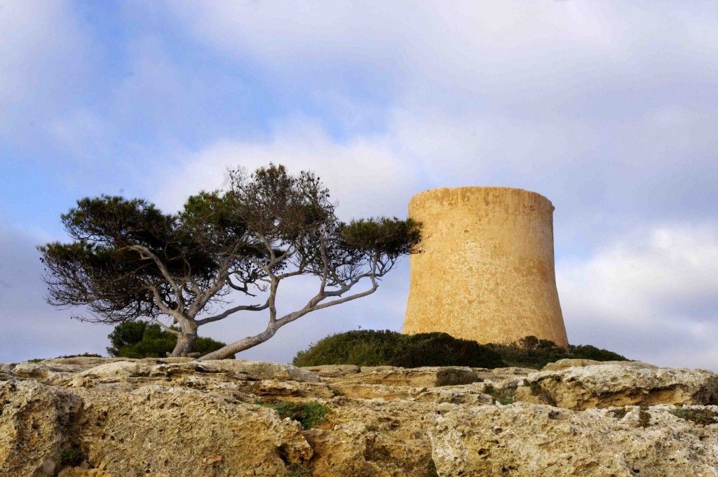 Foto: la torre y el árbol - Cala Pi (Illes Balears), España