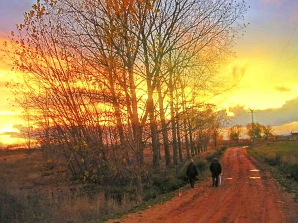 Foto: de camino a casa al atardecer - Zuares del Páramo (Castilla y León), España