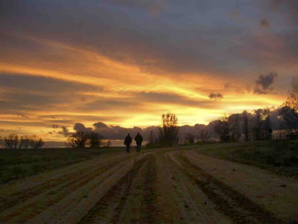 Foto: paseo al atardecer - Zuares del Páramo (Castilla y León), España