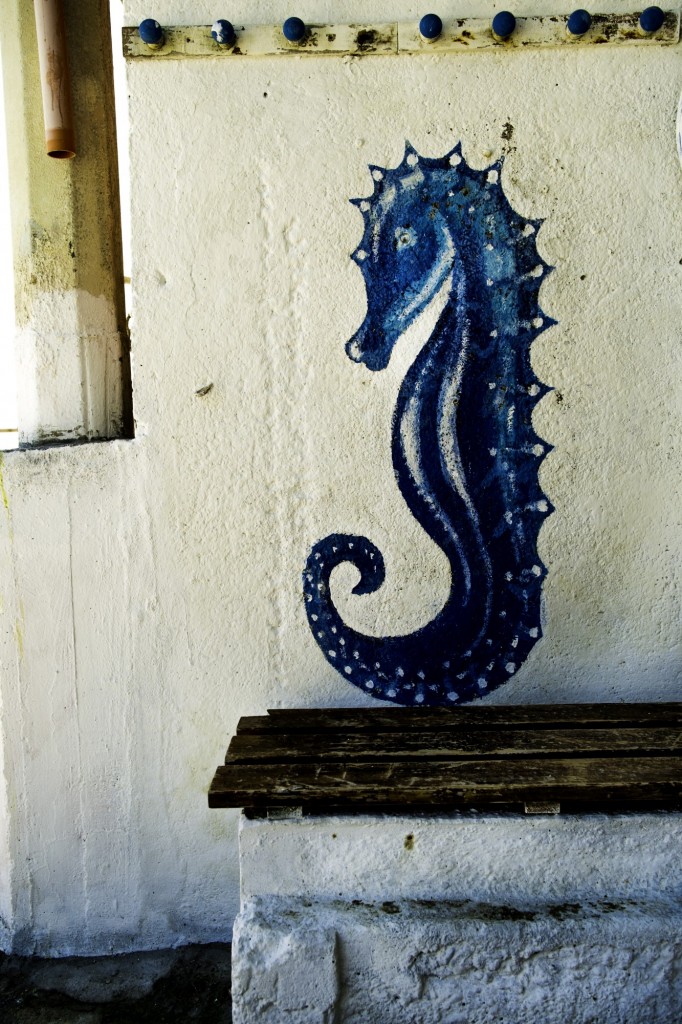 Foto de Ancona (The Marches), Italia