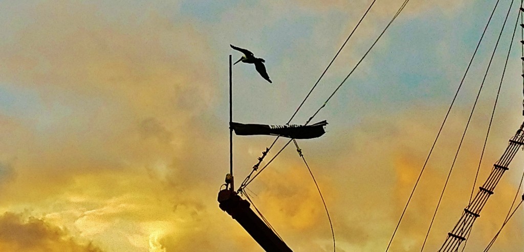 Foto: Zona Hotelera de Cancún - Cancún (Quintana Roo), México