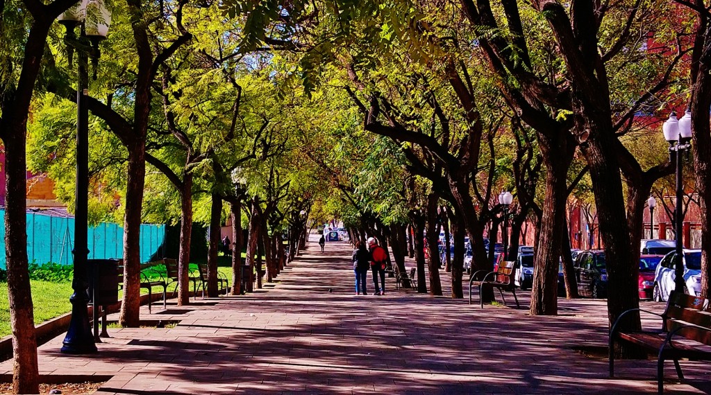 Foto: Carrer dels Escultors Claperós - Barcelona (Cataluña), España