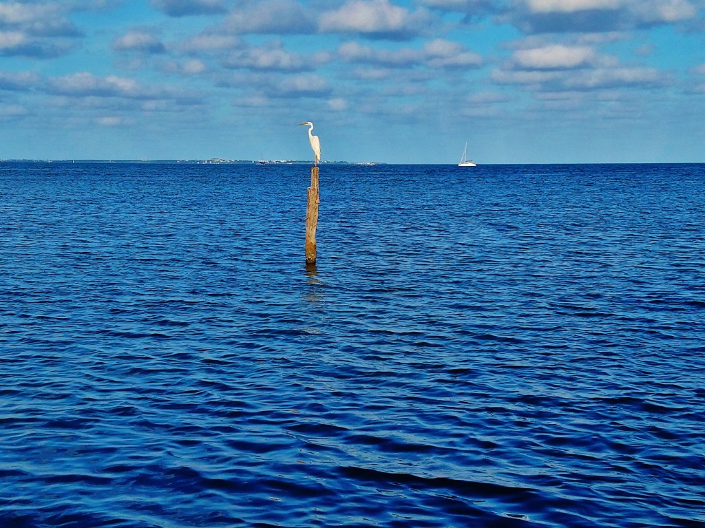Foto: Playa Linda - Cancún (Quintana Roo), México