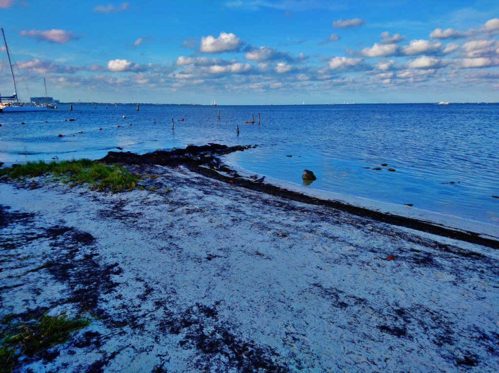 Foto: Playa Linda - Cancún (Quintana Roo), México