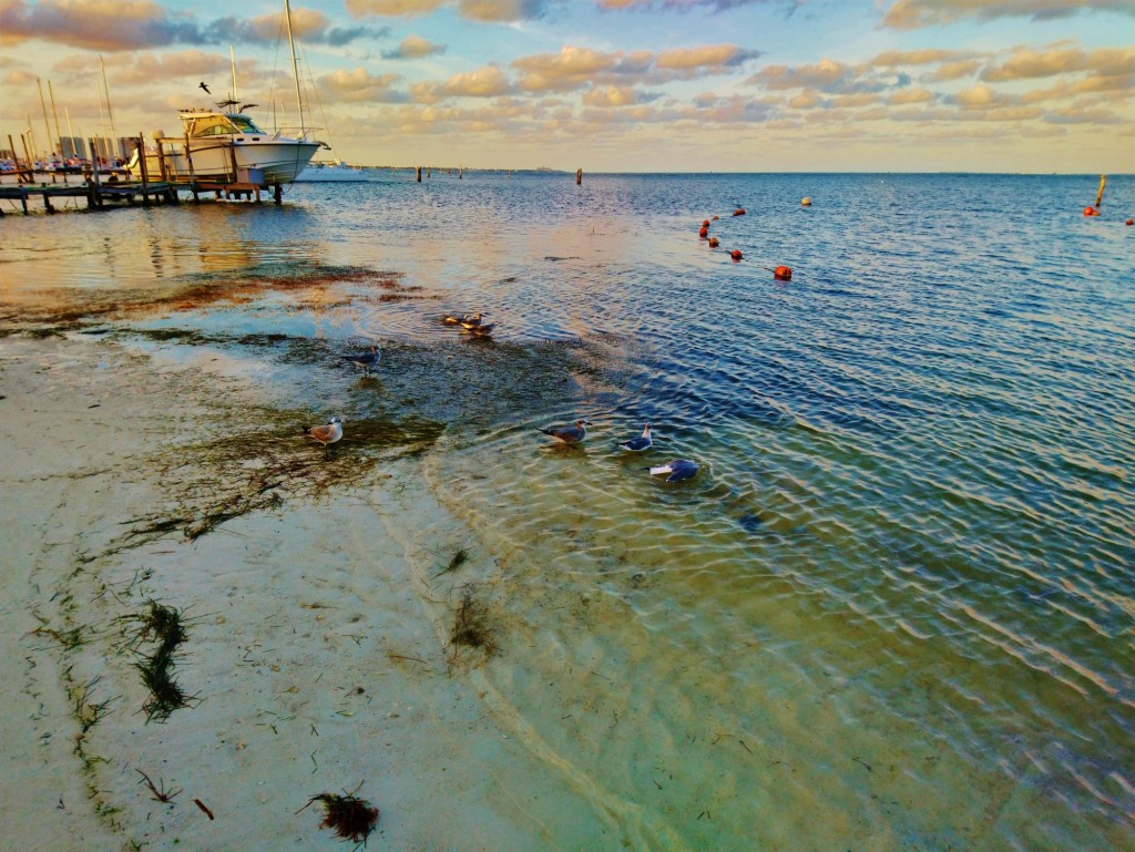 Foto: Playa Tortugas - Cancún (Quintana Roo), México