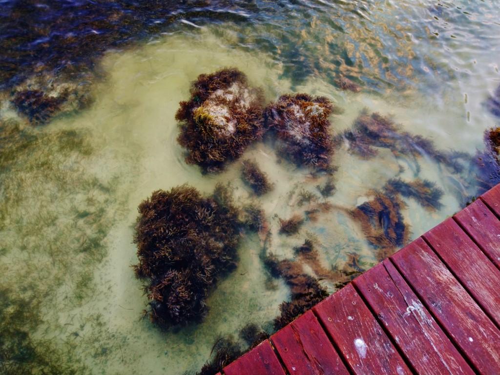 Foto: Playa Linda - Cancún (Quintana Roo), México
