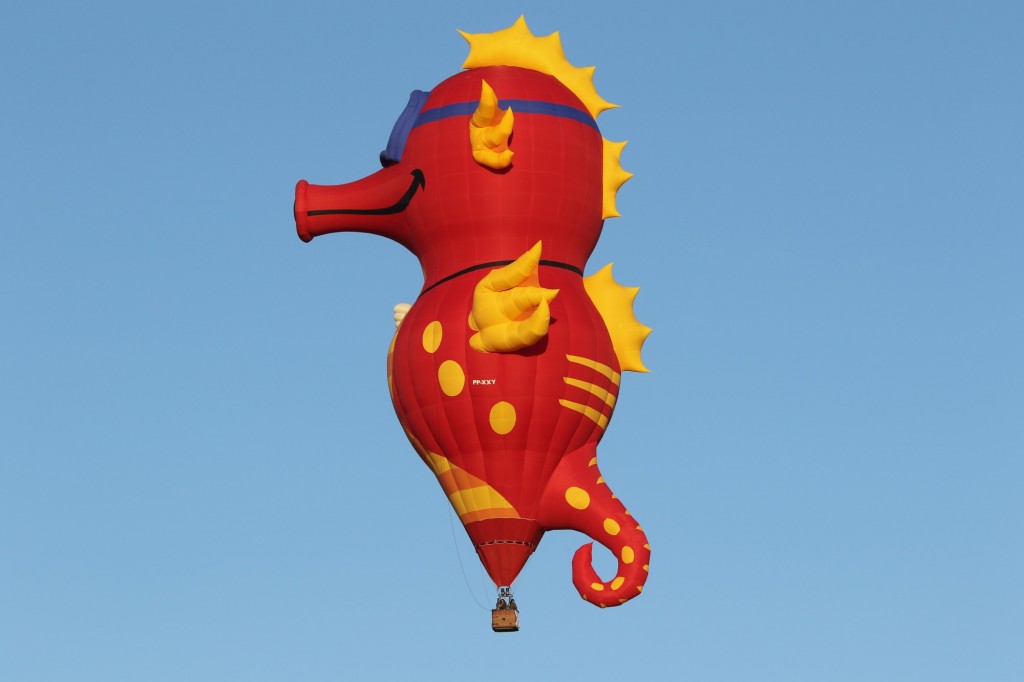 Foto: Balões Ar Quente - Coruche, Portugal