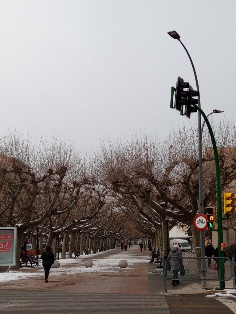 Foto: Nevada 2021 - Calatayud (Aragón), España