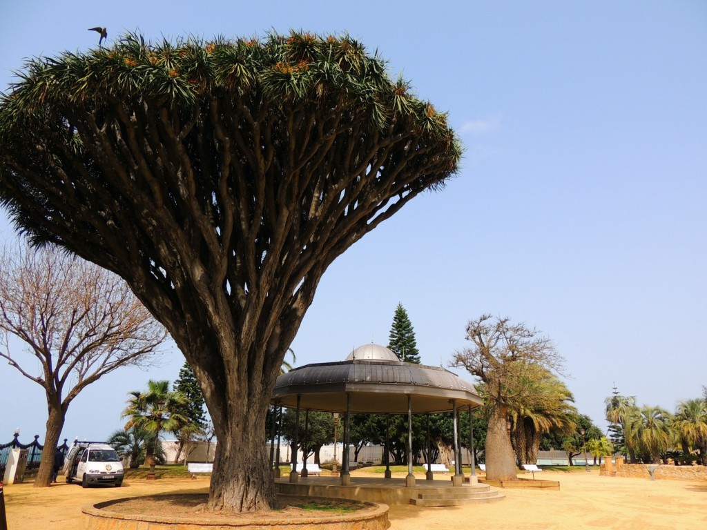 Foto de Cádiz (Andalucía), España