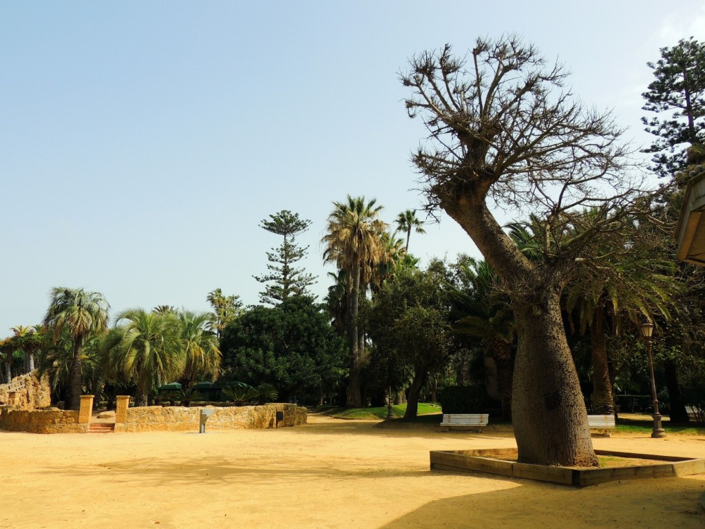 Foto de Cádiz (Andalucía), España