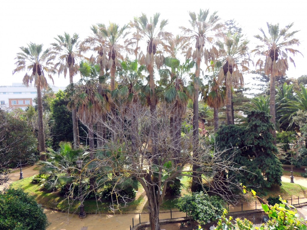 Foto de Cádiz (Andalucía), España